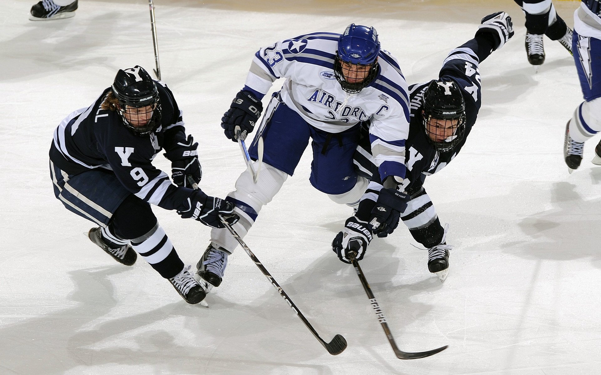 “亲子跑步新时代，牛仔3K亲子跑香港掀起运动热潮”